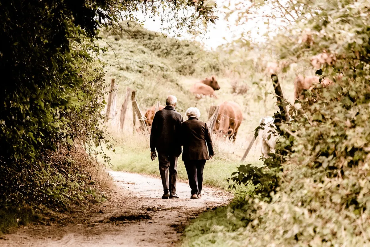 Top Wessex Heritage Trails Compared: Ridgeway, Clarendon, and Kennet